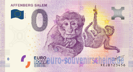 XEJB-2019-6 AFFENBERG SALEM 