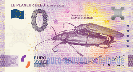 UEFN-2020-3 LE PLANEUR BLEU CACAO EN GUYANE